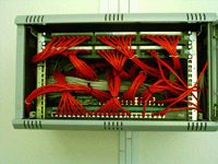 43 point cat5e network,cabinet